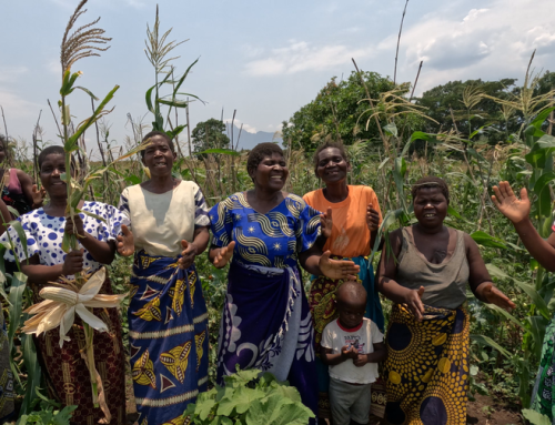 Veldbezoek in Malawi