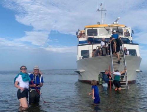 Wadlopen voor Endulen, een groot succes!